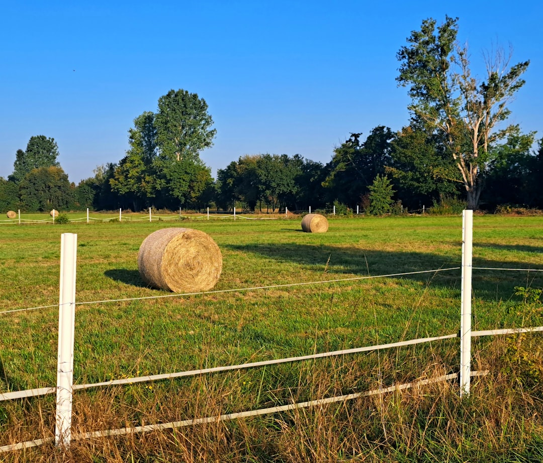 Map location of Baykar Farm