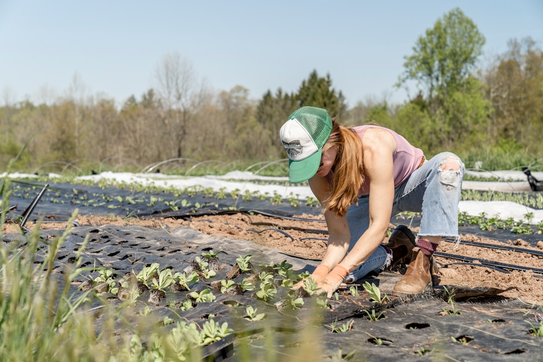Organic Certification