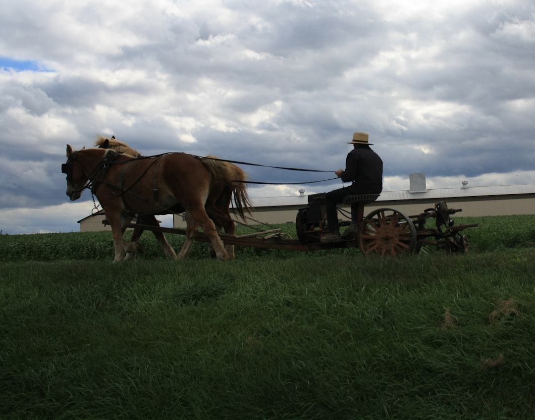 Organic farming in Turkey