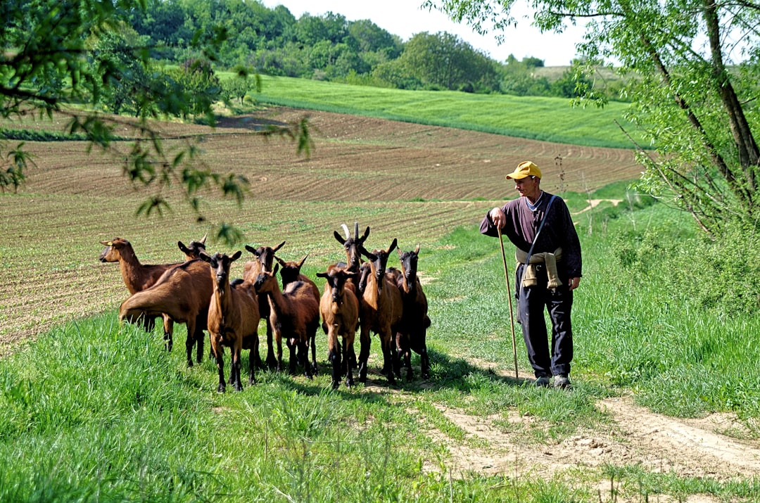 Agricultural support payment