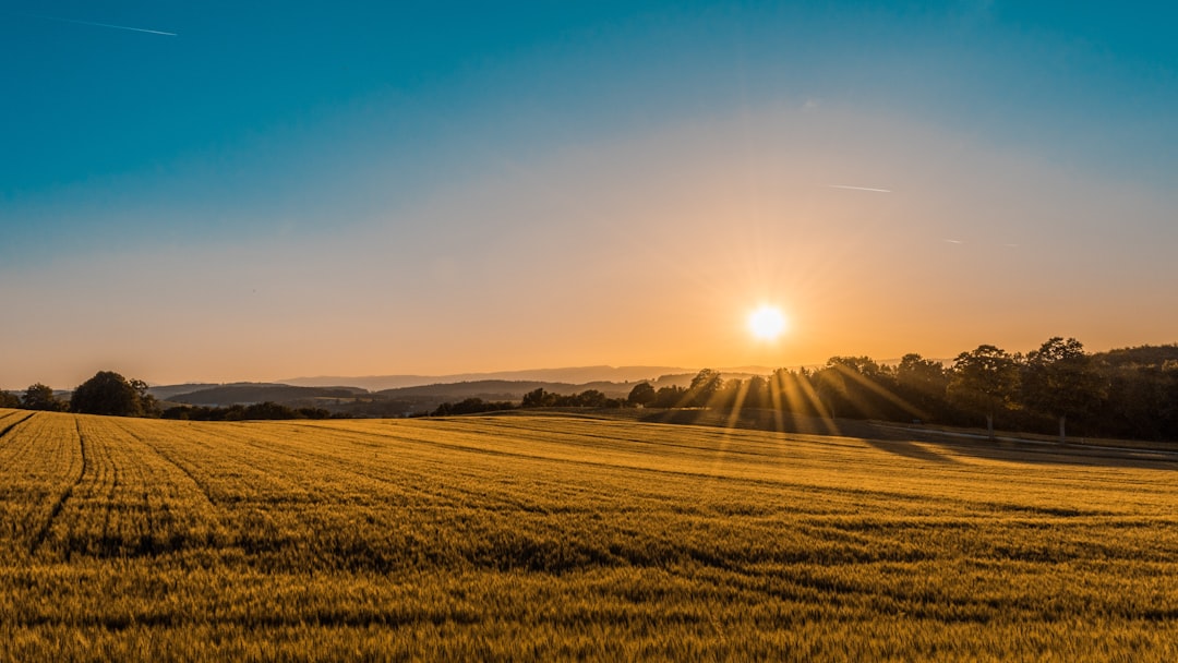 Climate-Resilient Farming