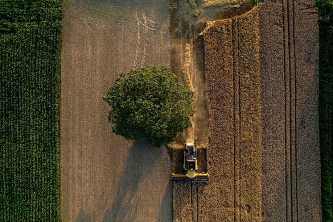 Agricultural Subsidies